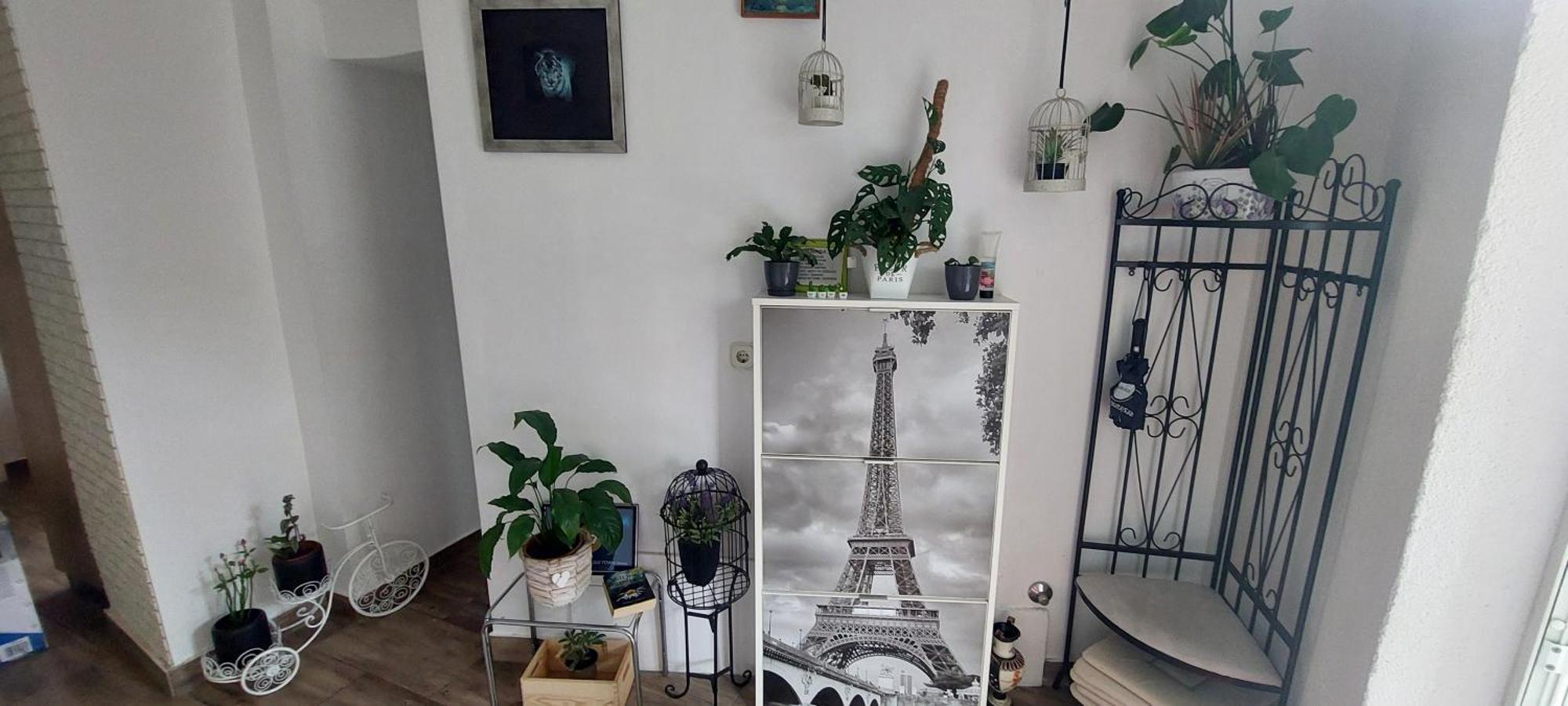 Old Town Sole Apartment Split Bagian luar foto